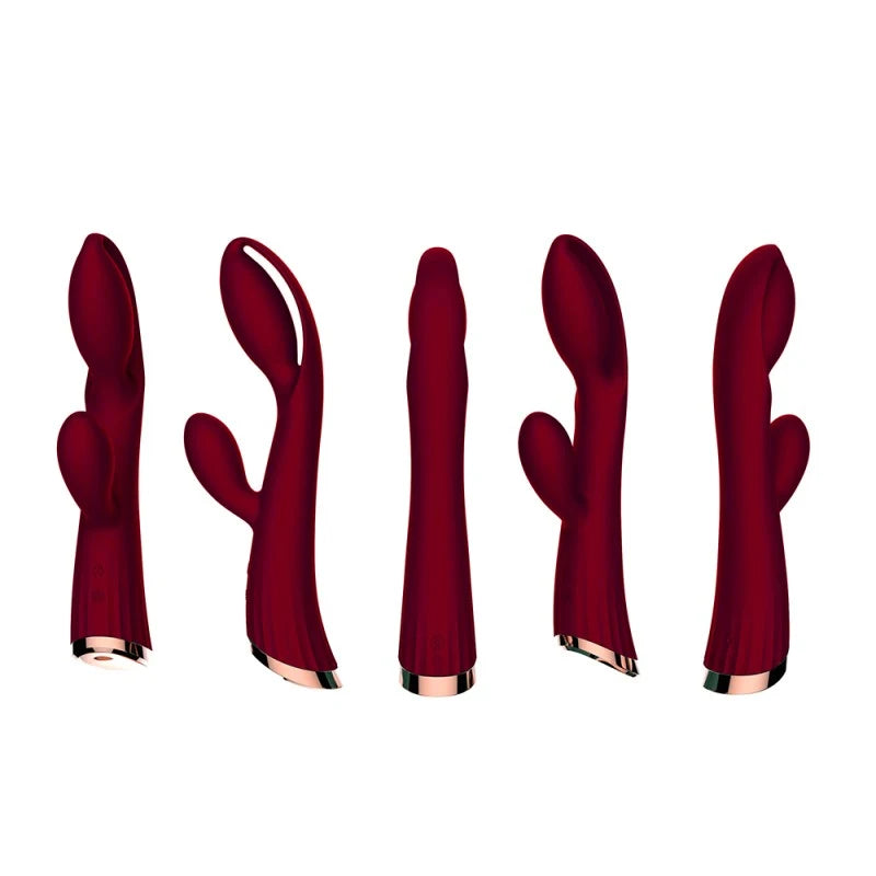 Vibromasseur rouge avec stimulateur de clitoris LRIS USB
