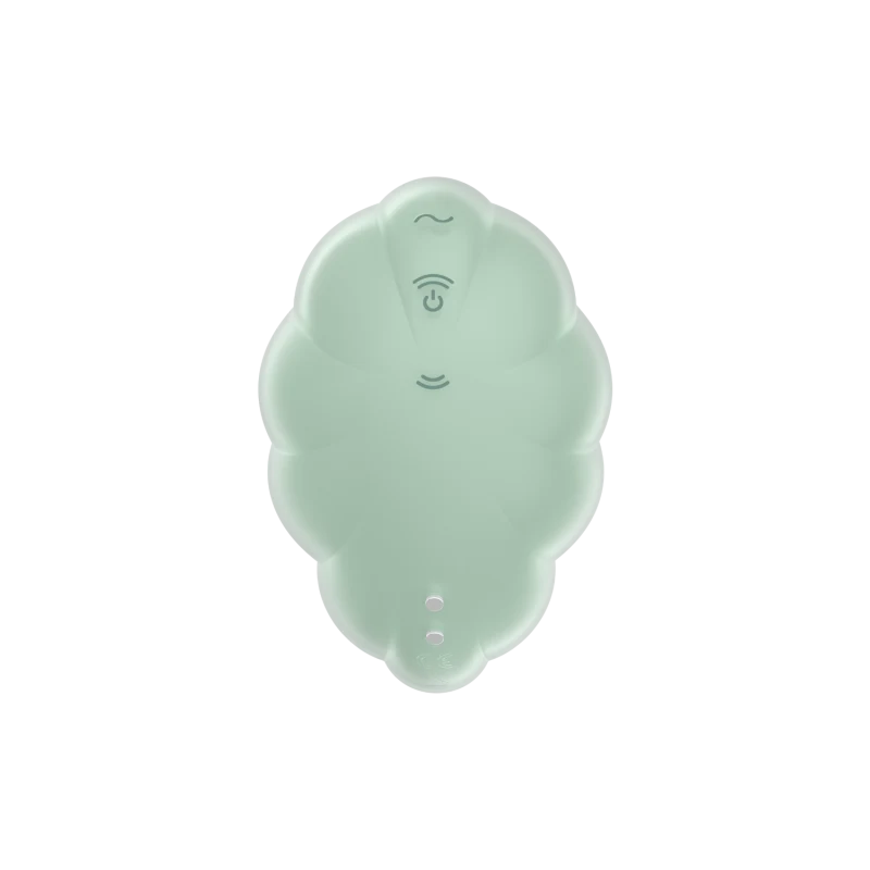 Stimulateur clitoridien par onde de pression sans contact et par vibration USB vert menthe, Cloud Dancer Satisfyer