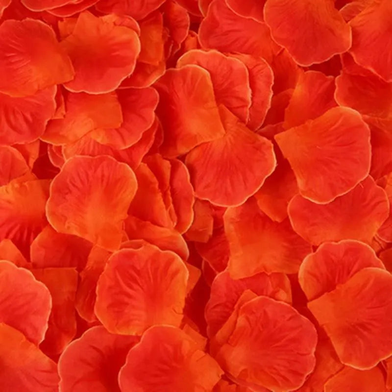 Pack de 100 Pétales de Rose