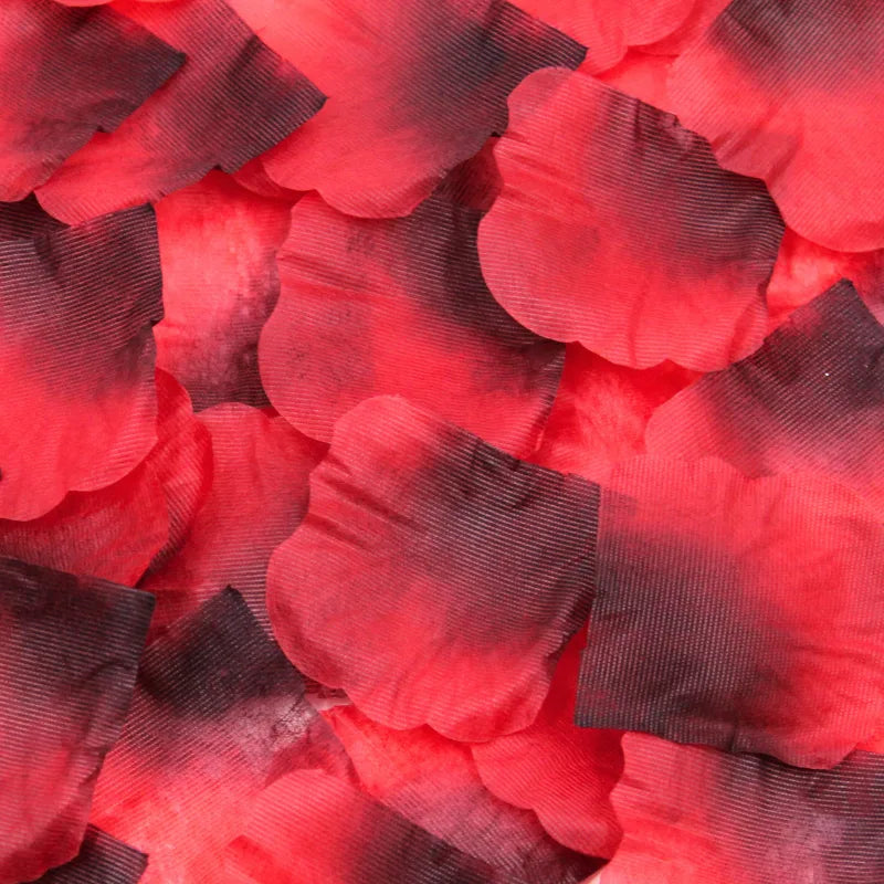 Pack de 100 Pétales de Rose
