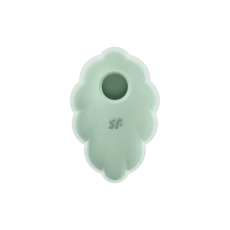 Stimulateur clitoridien par onde de pression sans contact et par vibration USB Vert Menthe, Cloud Dancer