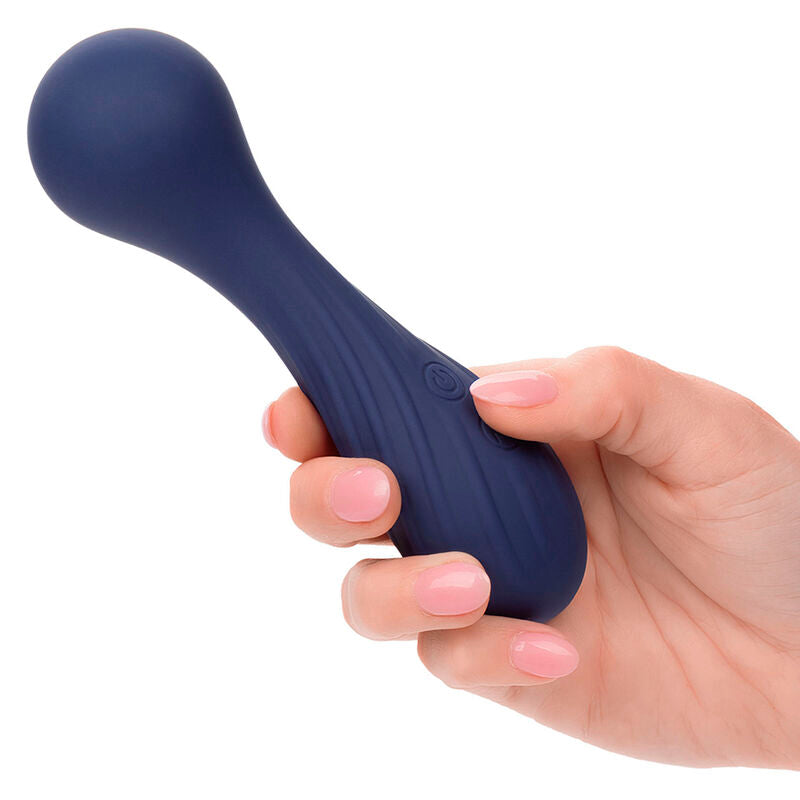Calexotics - Charisma Temptation Masseur 12 Fonctions Violet