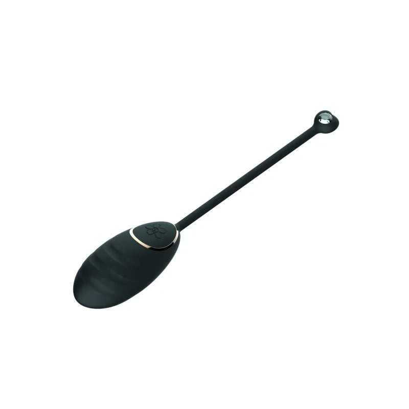 Œuf vibrant noir avec télécommande USB