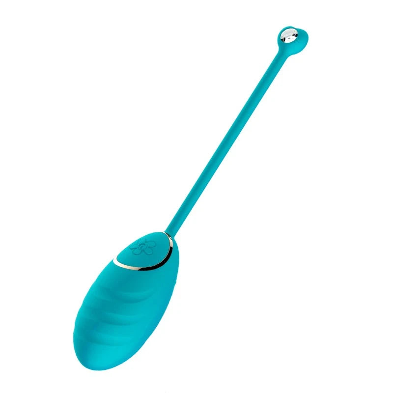 Œuf vibrant bleu avec télécommande USB