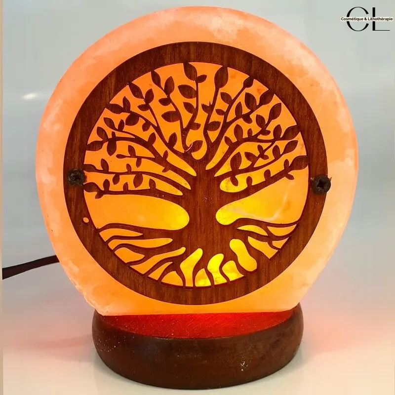Lampe de Sel USB Arbre de Vie 1KG