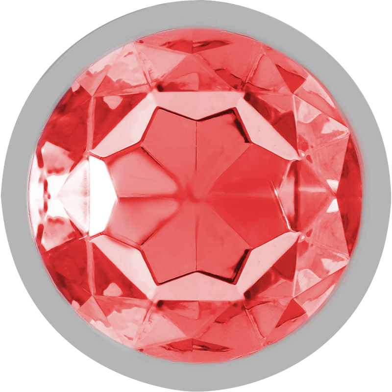 Intense - Plug Anal en Métal Aluminium avec Cristal Rouge Taille L