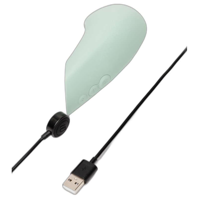 Womanizer - Vibromasseur Silencieux Vibe Lay-on Sage